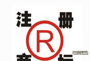 企業(yè)成長(zhǎng)快車(chē)道 一站式綜合服務(wù)助力創(chuàng)業(yè)無(wú)憂
