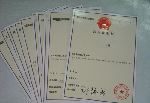 商標(biāo)代理服務(wù)費(fèi)用解析 商標(biāo)注冊(cè)找代理公司需要多少錢(qián)？